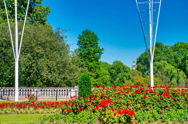 Scenic View Park Flowers Trees London — Stock Photo, Image