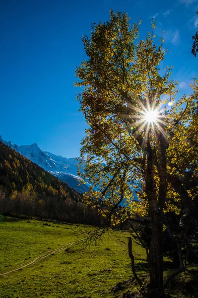 Vertical Shot Sun Rays Trees Mountains Lavancher Chamonix Haute Savoie — стоковое фото