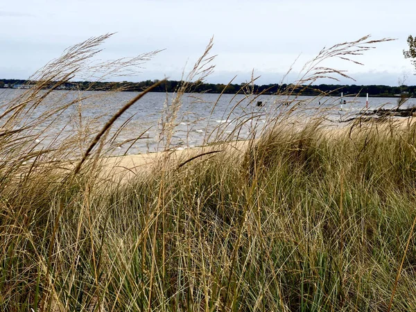 View Lake Shore Grass — Fotografia de Stock