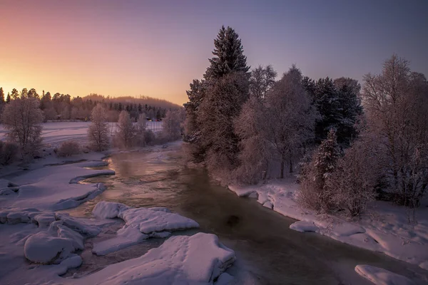 Beautiful View Snowy Forest Sunset Sky Background — ストック写真