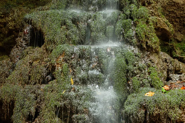 Una Hermosa Vista Arroyo Cascada Cayendo Sobre Musgo Verde — Foto de Stock
