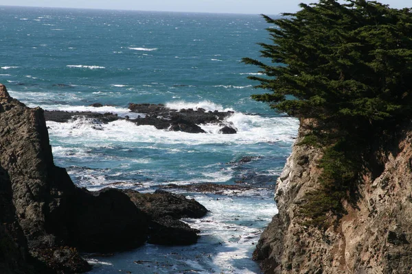 海岸線の岩や植物と海の美しい景色 — ストック写真