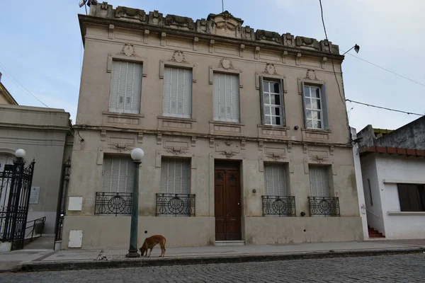 Ein Stadthaus San Antonio Areco Provinz Buenos Aires Argentinien — Stockfoto