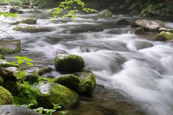 Beautiful Shot Smoky Mountains National Park North Carolina —  Fotos de Stock