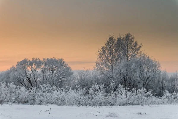 Scenic View Sunset Warm Colors Winter Klaipeda Lithuania — Stockfoto
