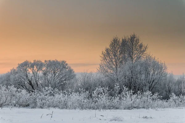 Scenic View Sunset Warm Colors Winter Klaipeda Lithuania — 图库照片