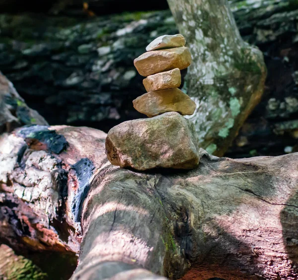 Close Shot Balanced Cairn Fallen Tree Trunk — Fotografia de Stock