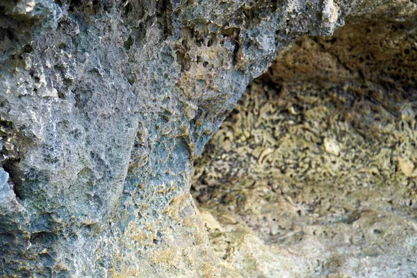 Mağaranın Yüzeyinde Bir Taş Oluşumu — Stok fotoğraf