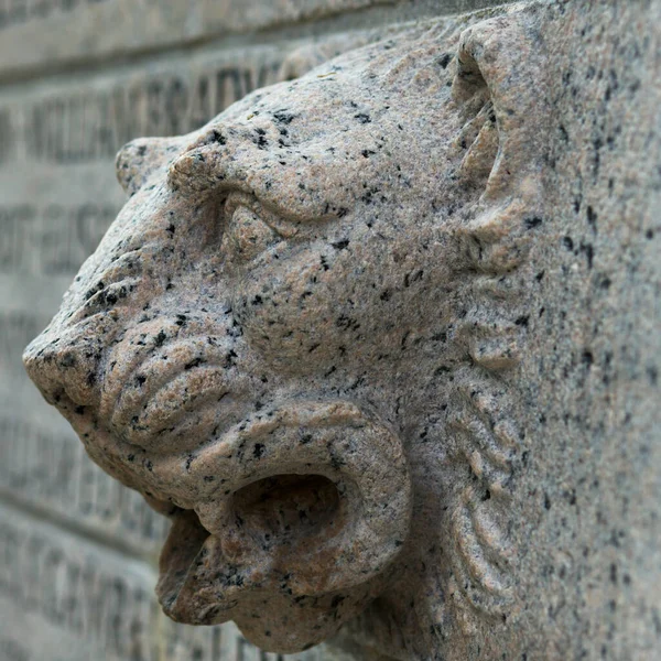 Closeup Stone Lion Statue — Stock Fotó
