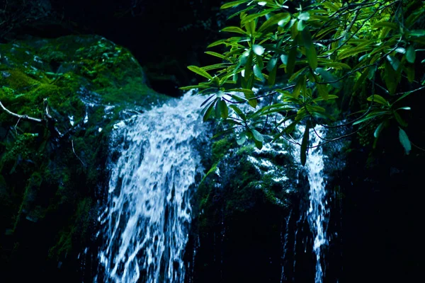 Wonderful Waterfall Green Forest — 스톡 사진