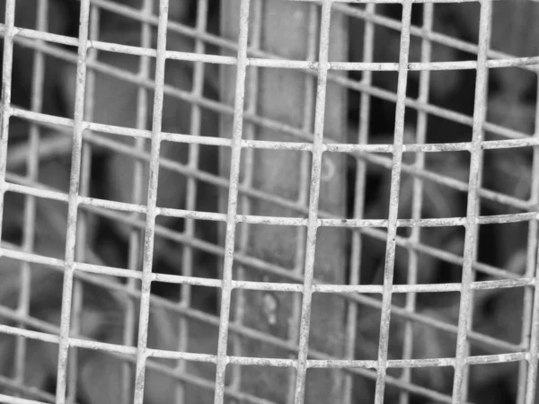 Grayscale Shot Old Iron Trashcan Details — Stock Fotó