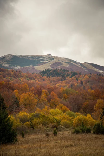 Mountains Covered Autumn Trees — стоковое фото