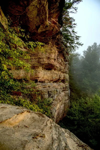 Vertical Shot Rocky Cliffs Greenery Foggy Background — Zdjęcie stockowe