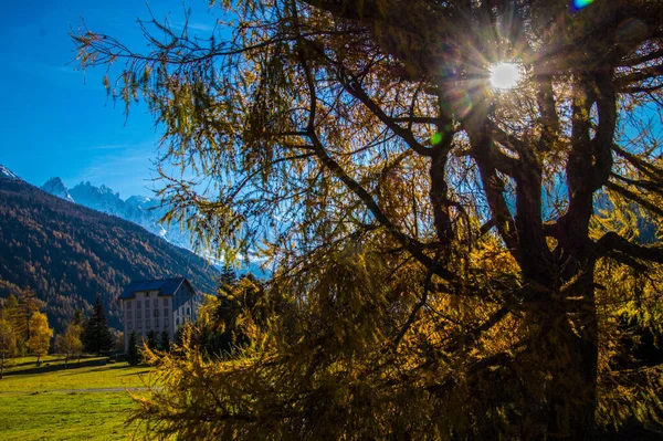 Beautiful View Sun Rays Trees Mountains Lavancher Chamonix Haute Savoie — Fotografia de Stock