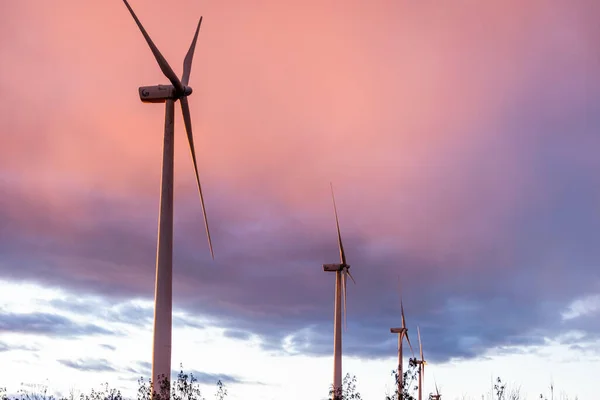 Row Wind Energy Turbines Countryside — Stock fotografie