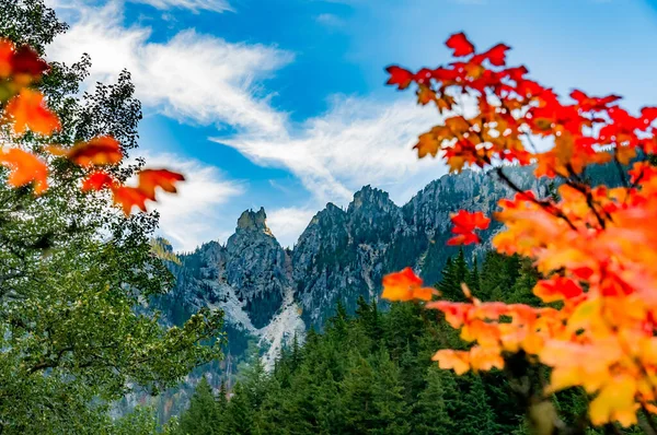 Scenic View High Mountains Pine Trees Autumn — Zdjęcie stockowe