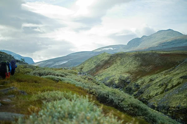 Grassy Fields Mountain Ranges Rondane National Park Norway — Photo