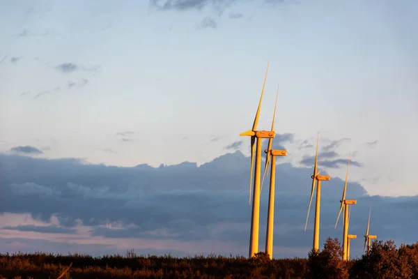 Row Wind Energy Turbines Countryside — Stock fotografie