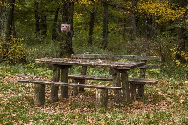 Piękna Sceneria Miejsca Piknikowego Lesie Drewnianymi Ławkami Stołem Pokrytym Liśćmi — Zdjęcie stockowe