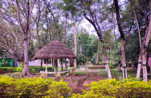 Structure Straw Roof Surrounded Trees — Stok fotoğraf