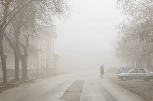 Beautiful View Man Long Coat Crossing Street Foggy Winter Day — Fotografia de Stock