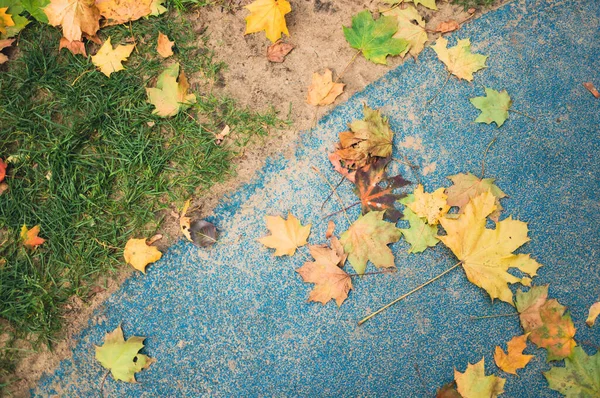 Fallen Autumn Leaves Green Grass Blue Textured Ground — Stockfoto