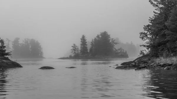 Beautiful View Lake Woods Foggy Day — 图库照片