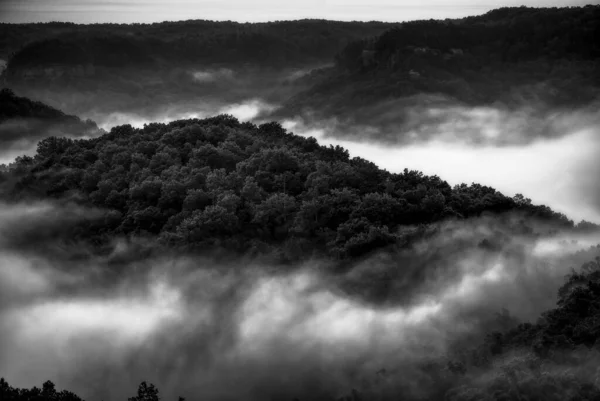 Een Grijsschaal Opname Van Een Bergachtig Landschap Met Bomen Bedekt — Stockfoto