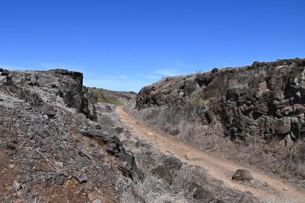 Ένα Μονοπάτι Μέσα Από Ηφαιστειακούς Σχηματισμούς Βράχων Kaena Point Oahu — Φωτογραφία Αρχείου