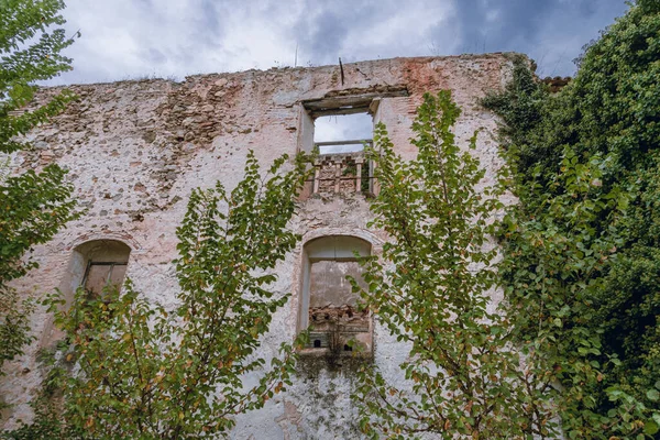 Ein Verlassenes Gebäude Wald — Stockfoto