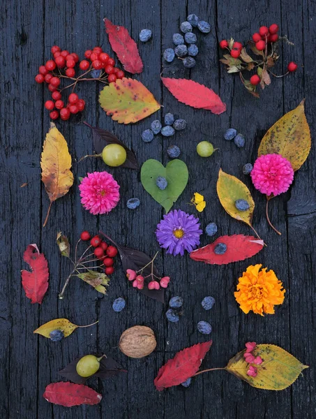 Flat Lay Different Colored Leaves Berries Flowers Placed Black Board — ストック写真