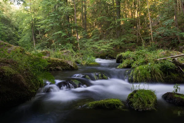 Rocky River Woods Long Exposure — Stock fotografie