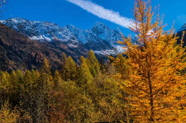 Beautiful View Snowy Rocky Mountains Blue Sky — Photo