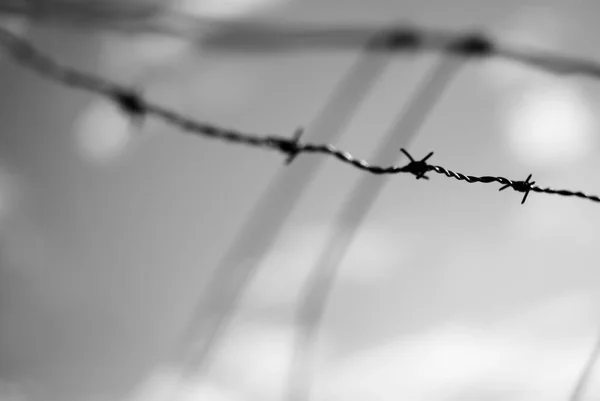 Grayscale Selective Focus Metal Fence Wire — Stock Fotó