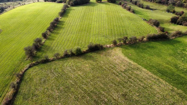 Beautiful View Green Farmland Lancashire England — Foto de Stock