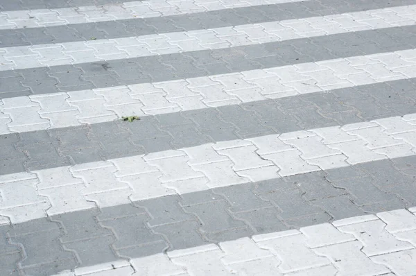 White Gray Brick Pavement Street — Stockfoto