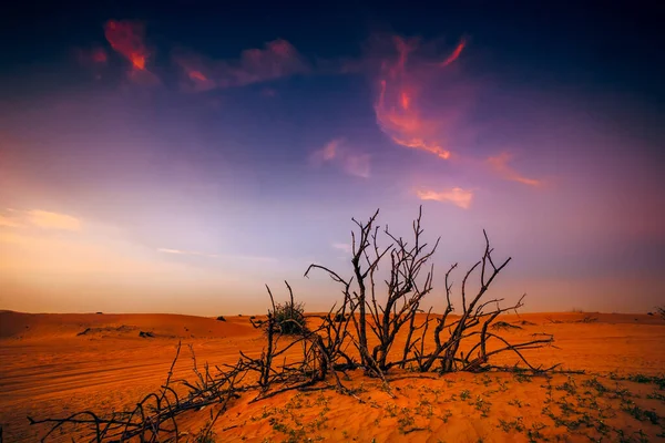 Ajman Bae Nin Kumlu Kumullarında Güzel Bir Günbatımı Manzarası — Stok fotoğraf