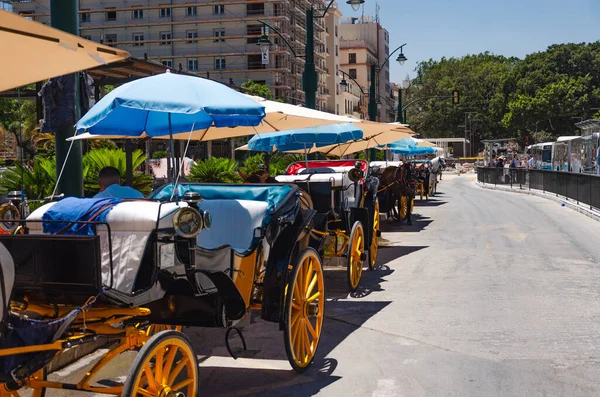 Horse Drawn Carriages Wait Passengers Malaga Spain — Stockfoto