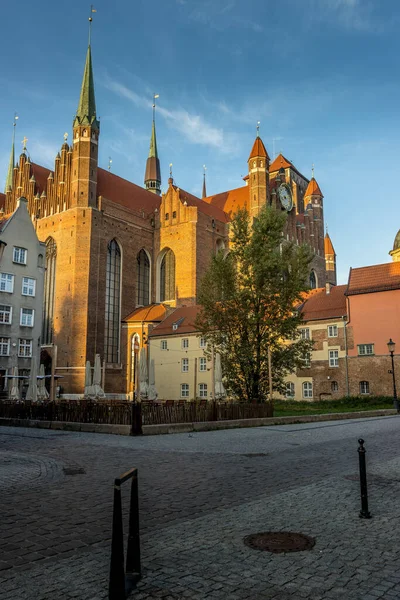 Gdans Polen Oktober 2021 Die Basilika Maria Vor Blauem Himmel — Stockfoto