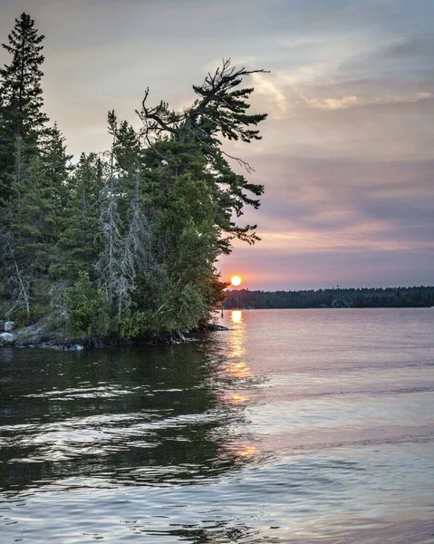 Beautiful View Lake Pine Trees Sunset Sky Background — Stockfoto