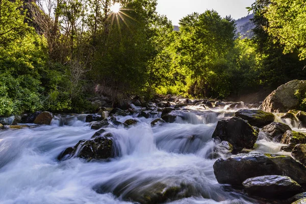 Cascading Rocky Stream Forest — Stock fotografie