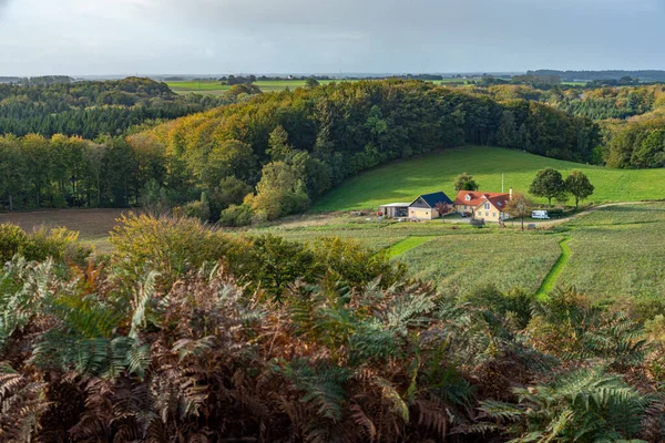 Beautiful View Trees Gudena Valley Denmark Busbjerg —  Fotos de Stock