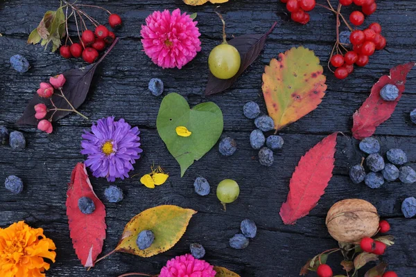 Flat Lay Different Colored Leaves Berries Flowers Placed Black Board — ストック写真