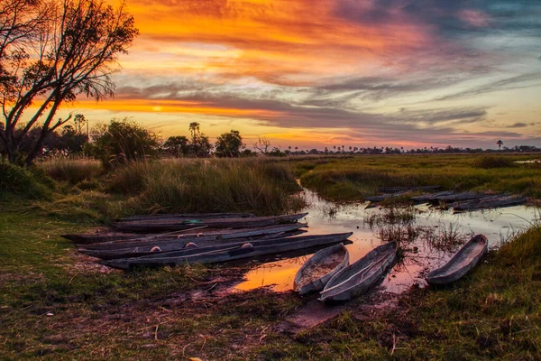 Old Boat Swamp Sunset — Foto de Stock