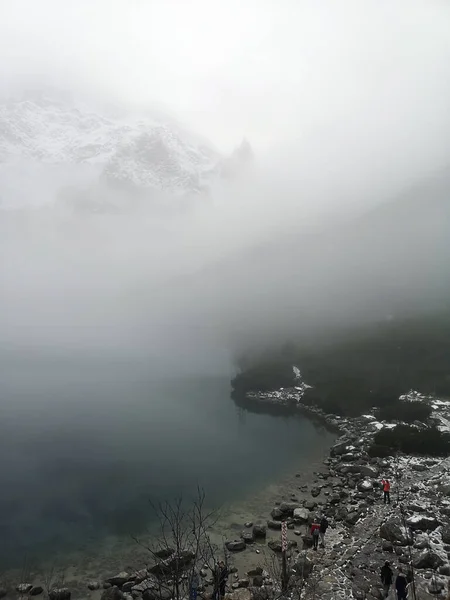 Vertical Shot Misty Day Snow Capped Mountains —  Fotos de Stock