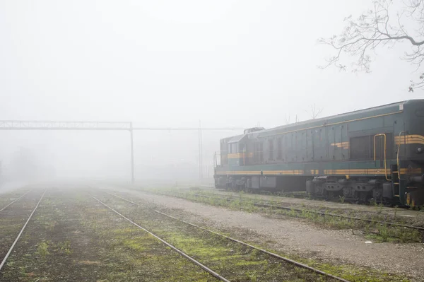 Boş Bir Istasyonda Sisten Çıkan Güzel Bir Tren Kompozisyonu — Stok fotoğraf