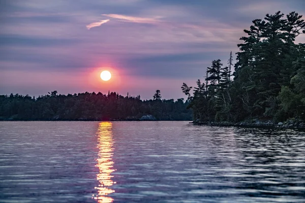 Beautiful View Lake Pine Trees Sunset Sky Background — Φωτογραφία Αρχείου