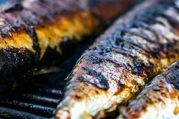 Closeup Shot Fish Charcoal Grill — Stock fotografie