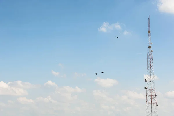 Ett Telekommunikationstorn Blå Himmel Med Små Moln Och Flygande Fåglar — Stockfoto
