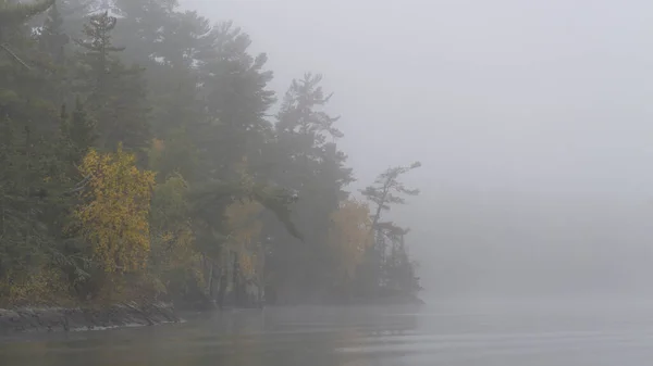 Beautiful View Lake Woods Foggy Day — Stock Fotó